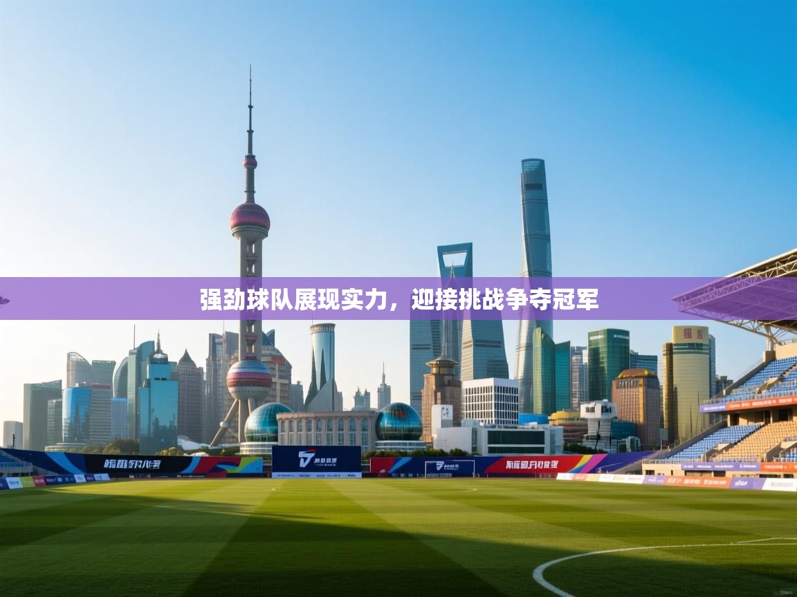强劲球队展现实力,迎接挑战争夺冠军 第2张