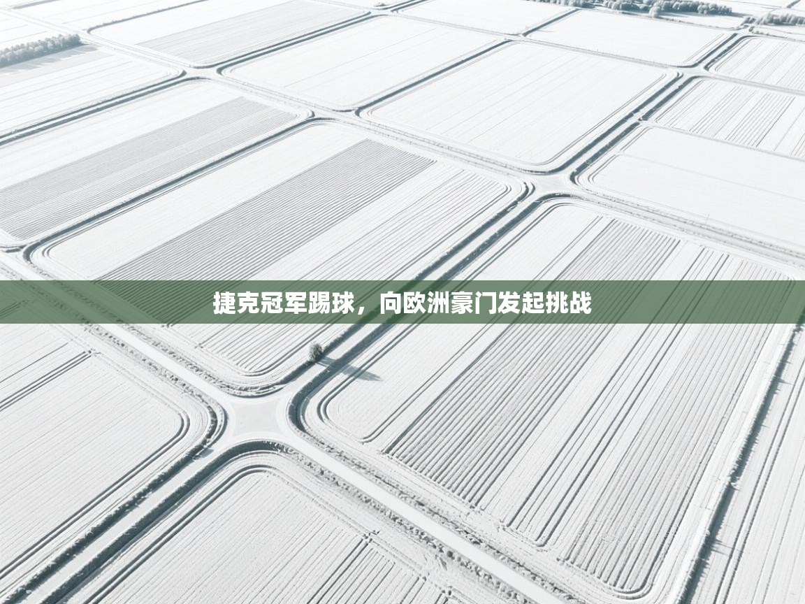 捷克冠军踢球,向欧洲豪门发起挑战 第1张