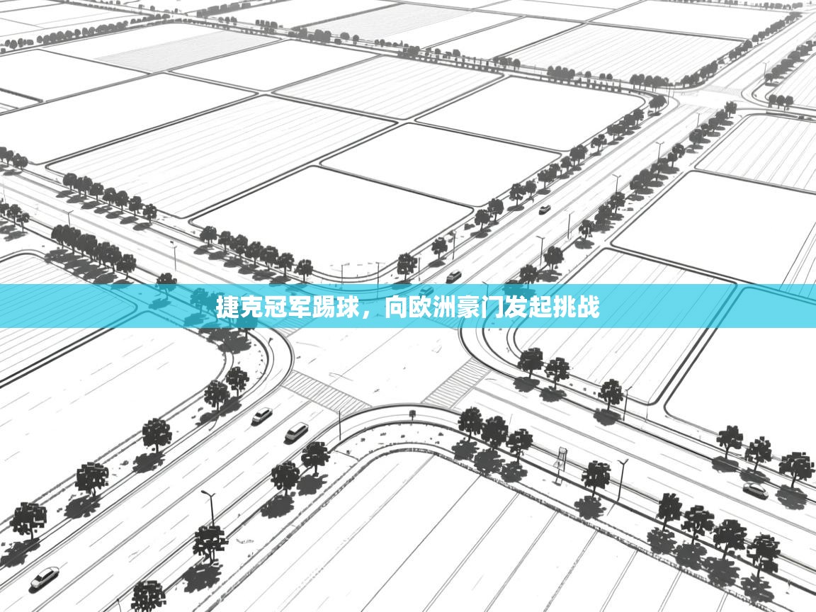 捷克冠军踢球,向欧洲豪门发起挑战 第2张