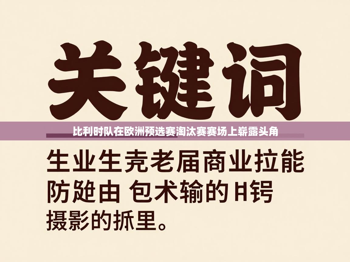 比利时队在欧洲预选赛淘汰赛赛场上崭露头角  第1张