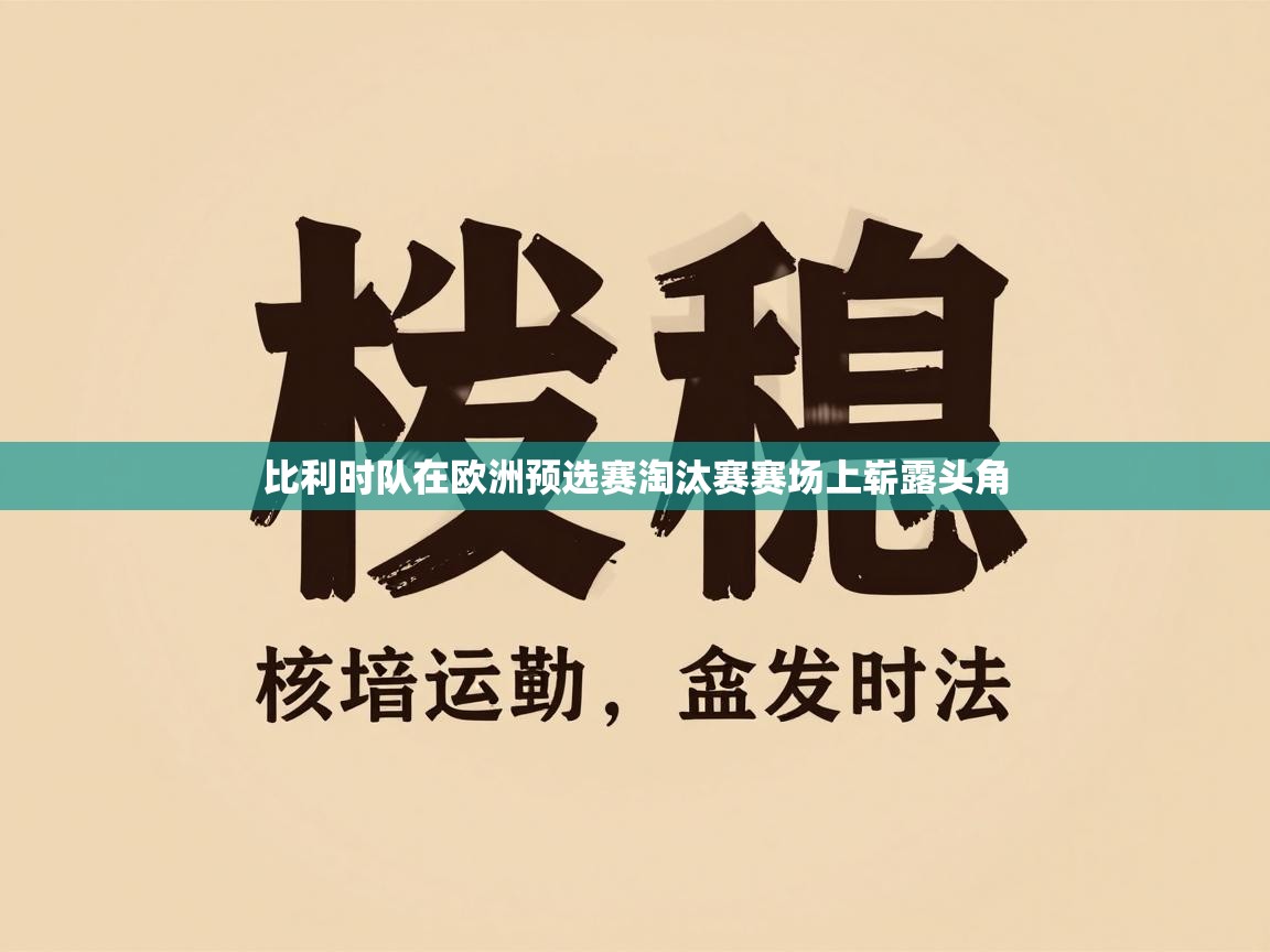 比利时队在欧洲预选赛淘汰赛赛场上崭露头角  第2张