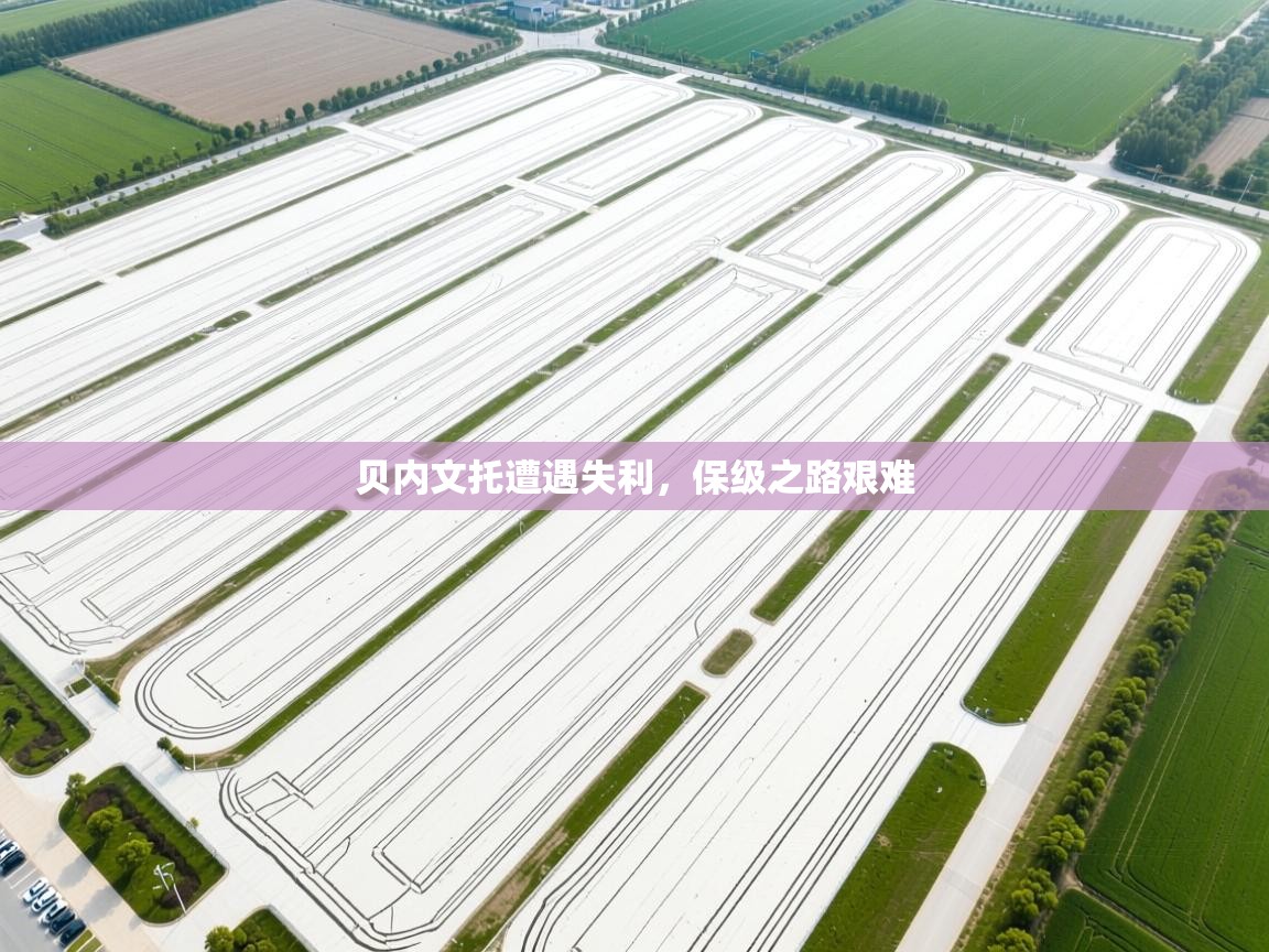 贝内文托遭遇失利，保级之路艰难  第1张