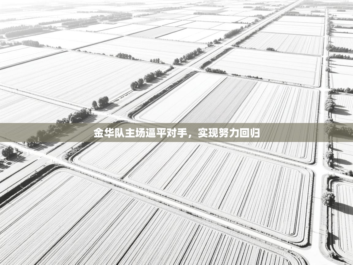 金华队主场逼平对手,实现努力回归 第2张