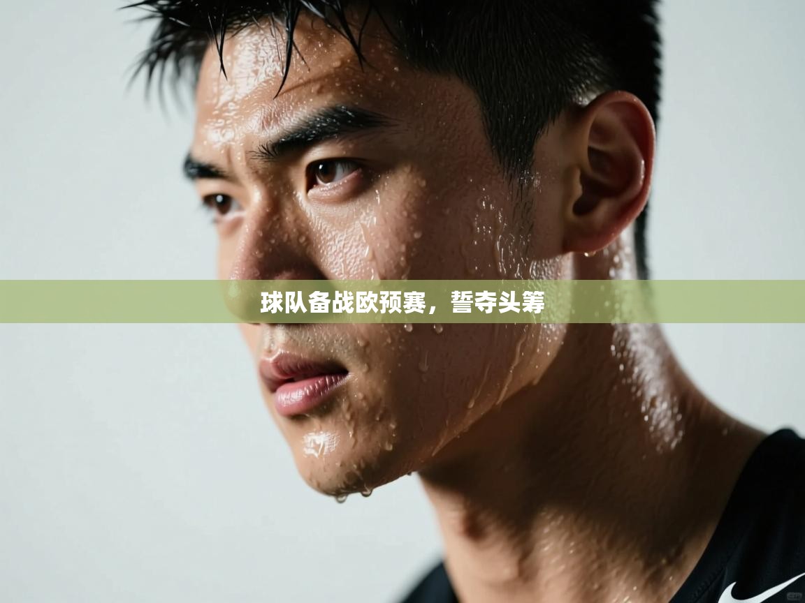球队备战欧预赛,誓夺头筹 第1张