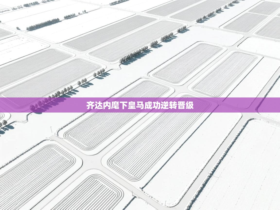 齐达内麾下皇马成功逆转晋级 第1张